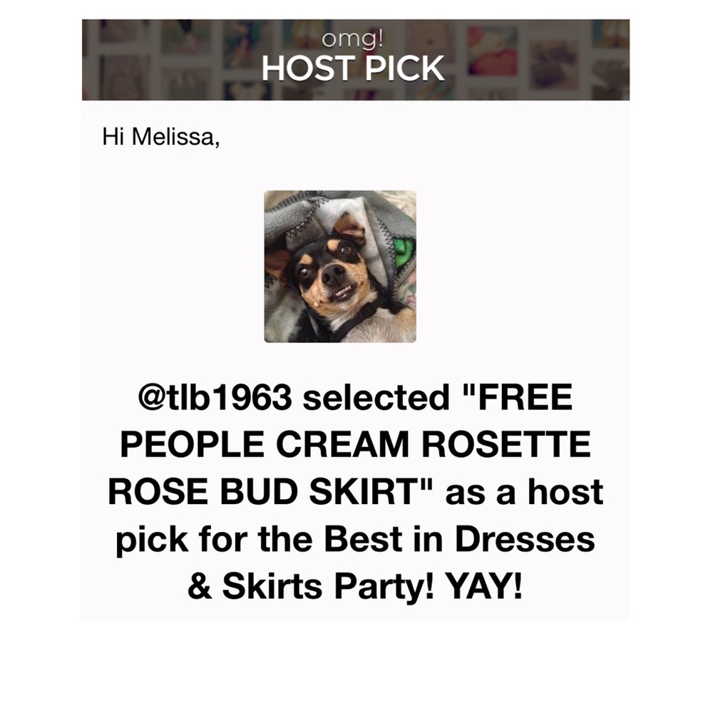 🎉 FREE PEOPLE CREAM ROSETTE ROSE BUD SKIRT - Picture 8 of 8